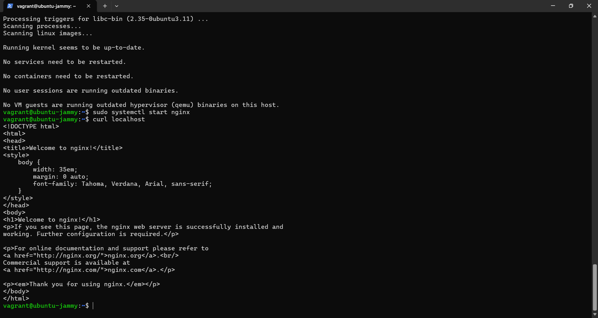 VM Internal Verification