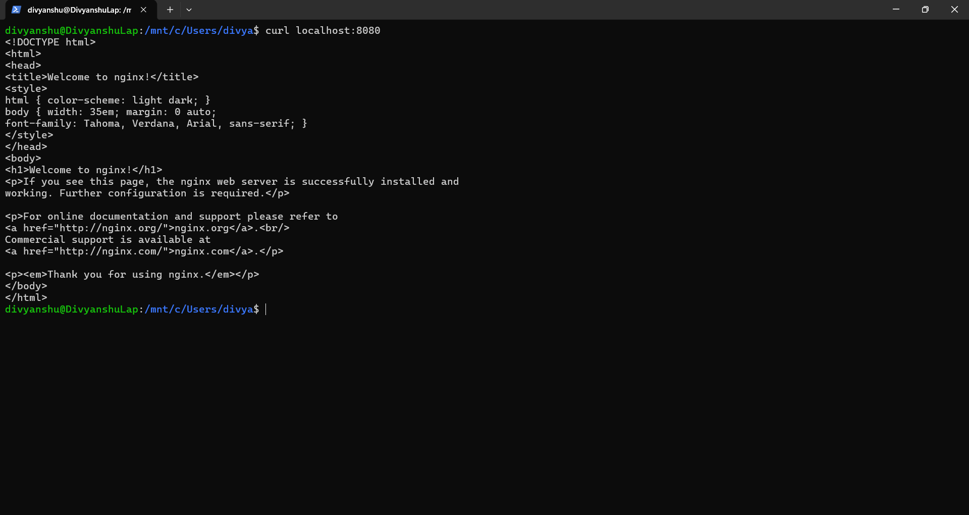 Nginx Container Verification