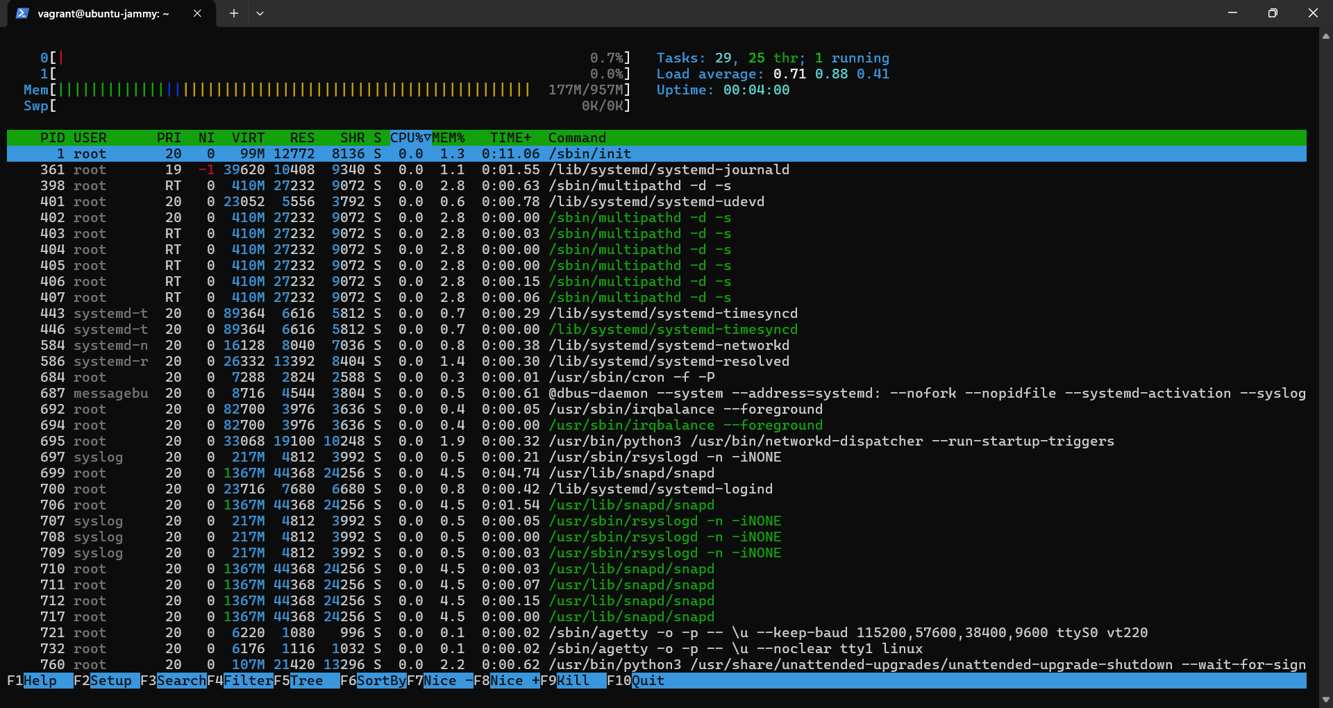 VM Htop Process List