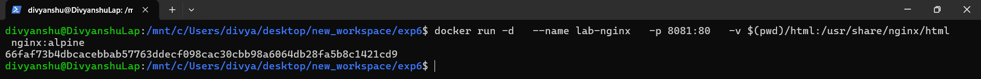 docker run nginx